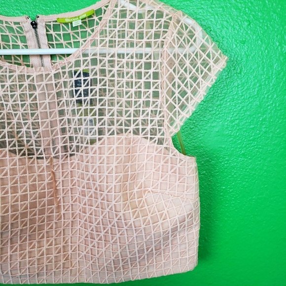 Gianni Bini Pink Sheer Mesh Crop Top Size 12 - Picture 7 of 11